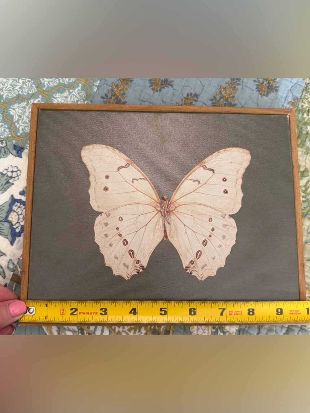 Vintage White Butterfly Canvas - Picture 3 of 6